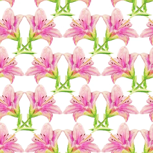 Pembe lily ile Seamless Modeli