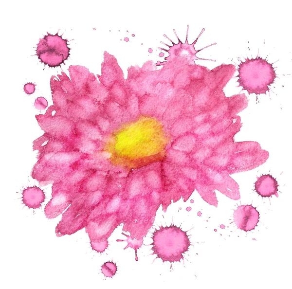 Bloem van roze chrysant — Stockfoto