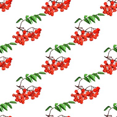 rowan ile Seamless Modeli