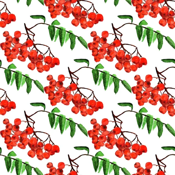 Seamless pattern with rowan — Stock Photo, Image