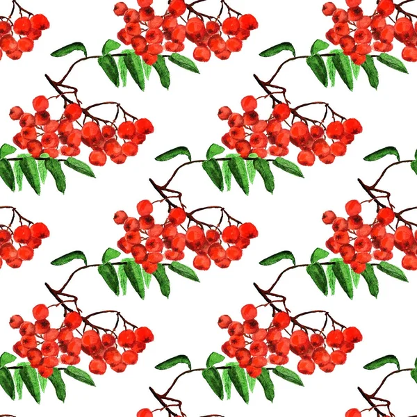 Seamless pattern with rowan — Stock Photo, Image