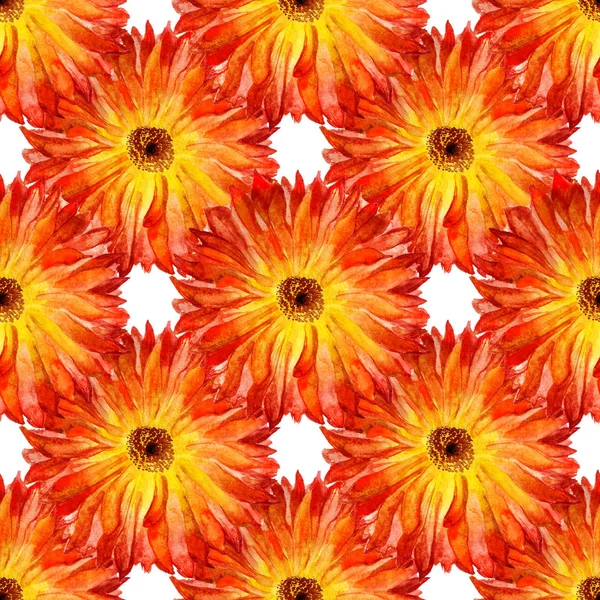 Seamless pattern with marigold