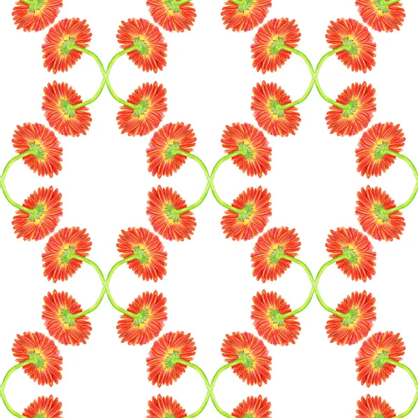 Seamless pattern with marigold flower — Stock Photo, Image