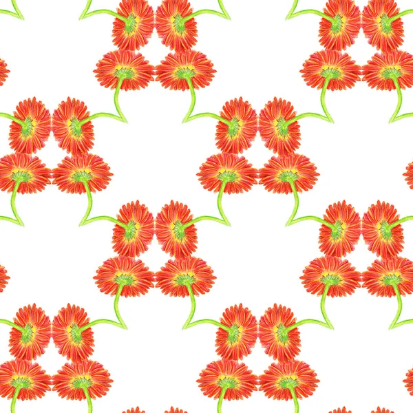 Seamless pattern with marigold flower — Stock Photo, Image