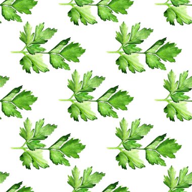 maydanoz ile Seamless Modeli