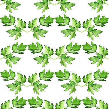 maydanoz ile Seamless Modeli