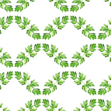 maydanoz ile Seamless Modeli