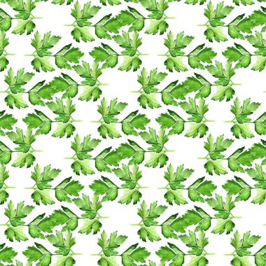 maydanoz ile Seamless Modeli