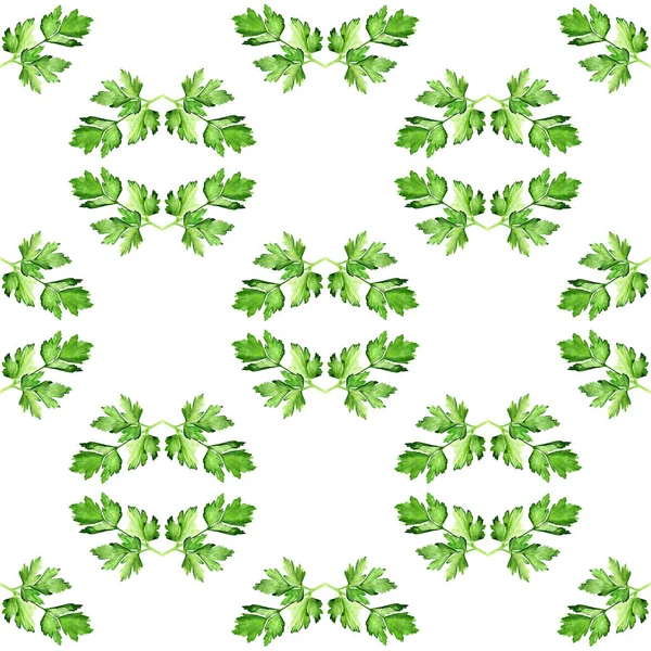 Seamless pattern with  parsley — Stock Photo, Image