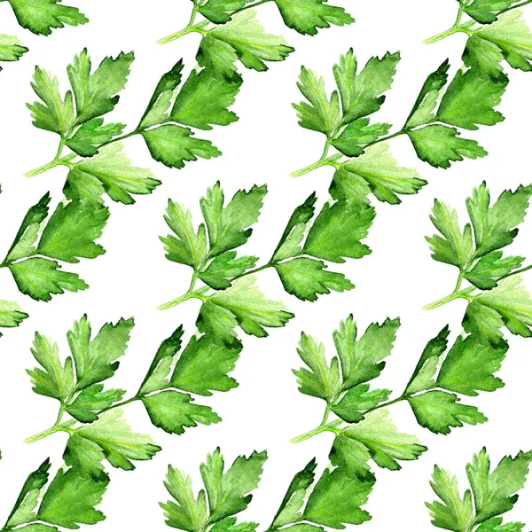 Seamless pattern with  parsley — Stock Photo, Image