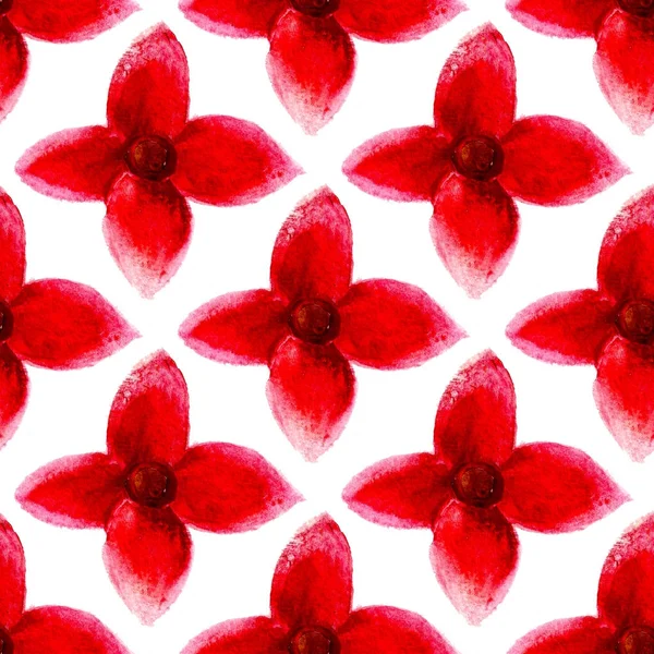 Patrón sin costura con flor roja — Foto de Stock