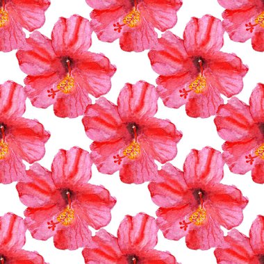 Hibiscus çiçek ile Seamless Modeli