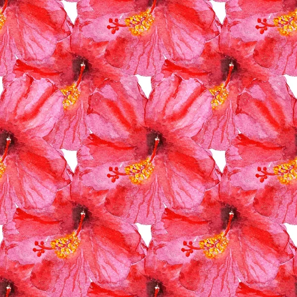 Seamless pattern with hibiscus flower — Stock Photo, Image