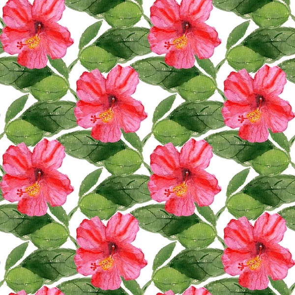 Nahtloses Muster mit Hibiskusblüte — Stockfoto