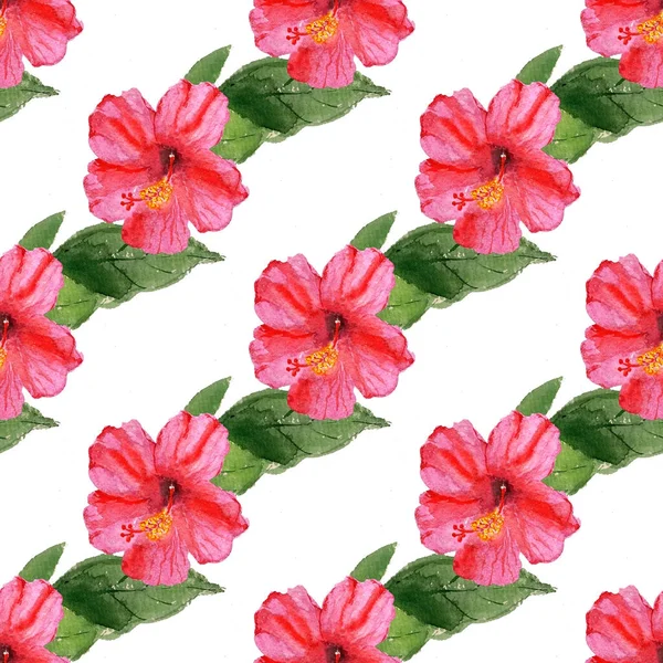 ハイビスカスの花とのシームレスなパターン — ストック写真