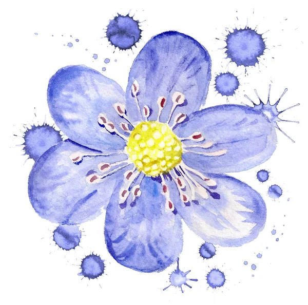 Niebieski kwiat z plamami farby — Zdjęcie stockowe