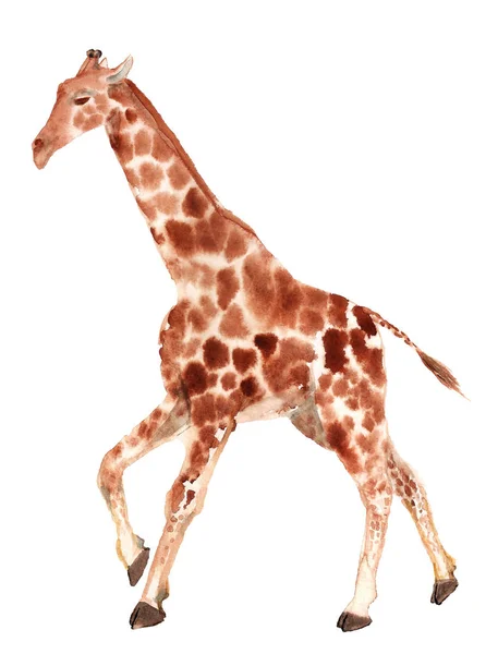 Watercolor running giraffe — Stock Photo, Image