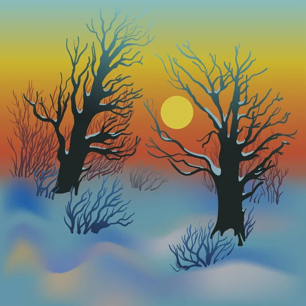 Winter forest landscape with sunset and bare trees