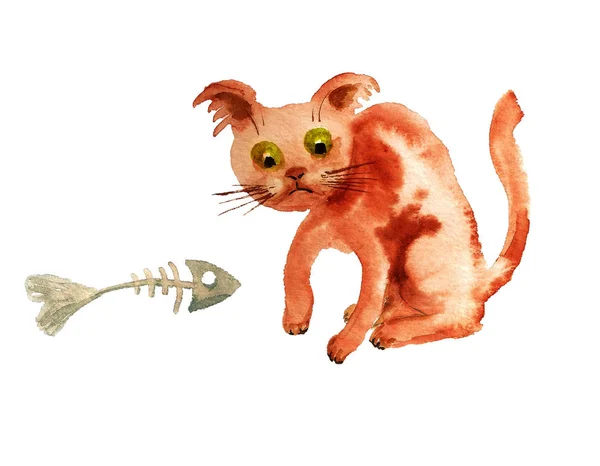 Katt med barebone fisk — Stockfoto