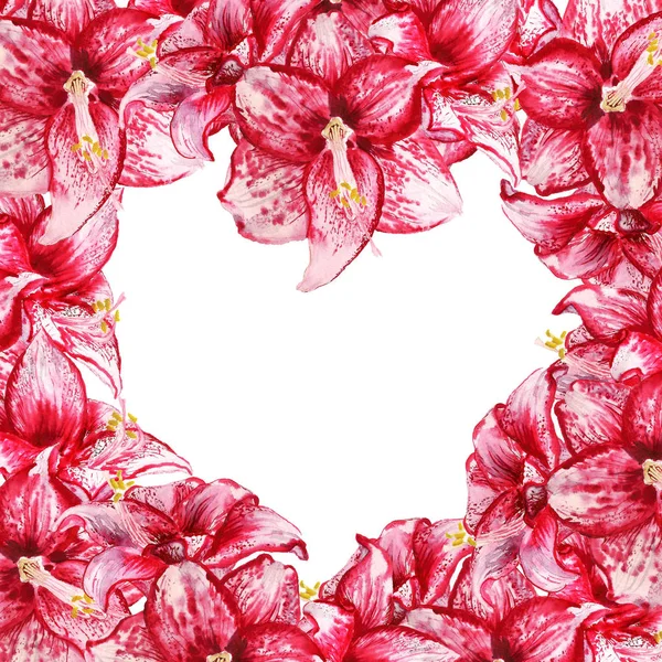 Heart amaryllis frame — Stock Photo, Image