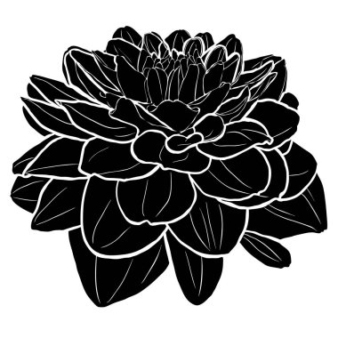 Siyah yıldız silueti