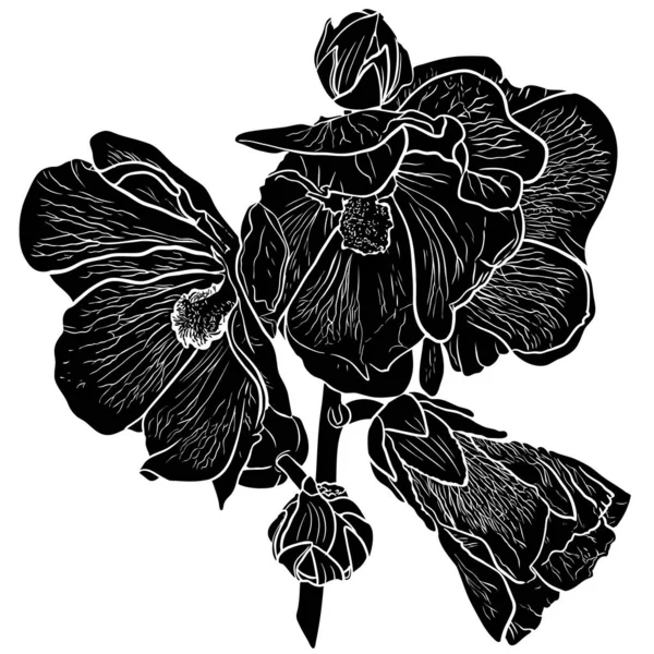 Silhueta de flor de hollyhock — Vetor de Stock