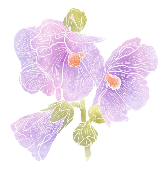 Kwiaty hollyhock. — Zdjęcie stockowe