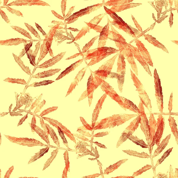 Nahtloses Muster mit Blättern von Tagetes. — Stockfoto