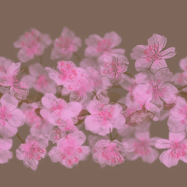 Almafa vagy Sacura virág. — Stock Fotó