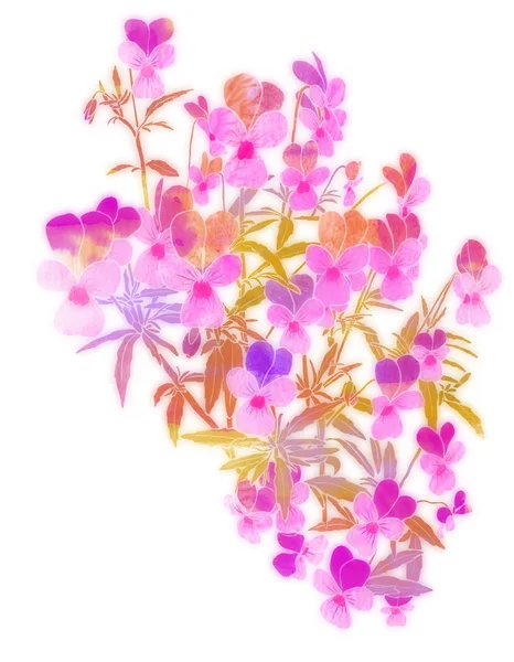 Viola tricolor Aquarell Illustration — Stockfoto