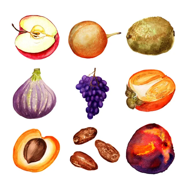 Conjunto de frutas aquarela — Fotografia de Stock