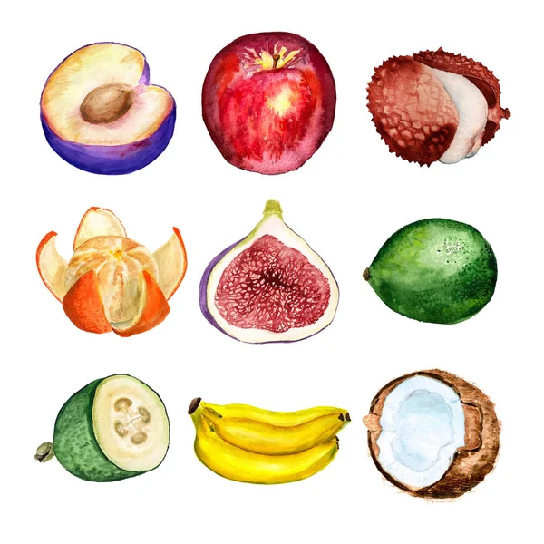 Set of watercolor fruits — Stock Photo, Image