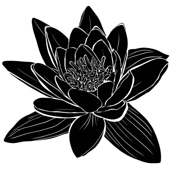 Black silhouette of flower of lotus — Stockvektor