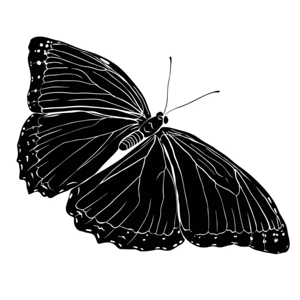 Silueta de mariposa negra sobre fondo blanco. — Archivo Imágenes Vectoriales
