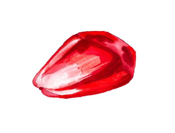 Pomegranate seed watercolour — Stock Photo, Image