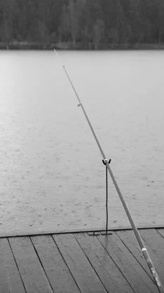 Ψάρεμα ραβδί στη γέφυρα της λίμνης — Φωτογραφία Αρχείου