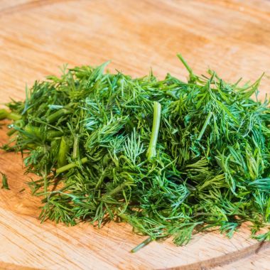 Yeşil dereotu sebze sebze Bahçe taze arka plan