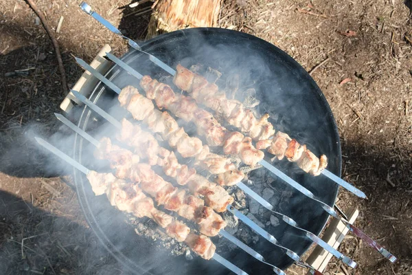 Charcoal Smoke Preparing Kebab Barbecue Summer Day Weekend — Stock Photo, Image