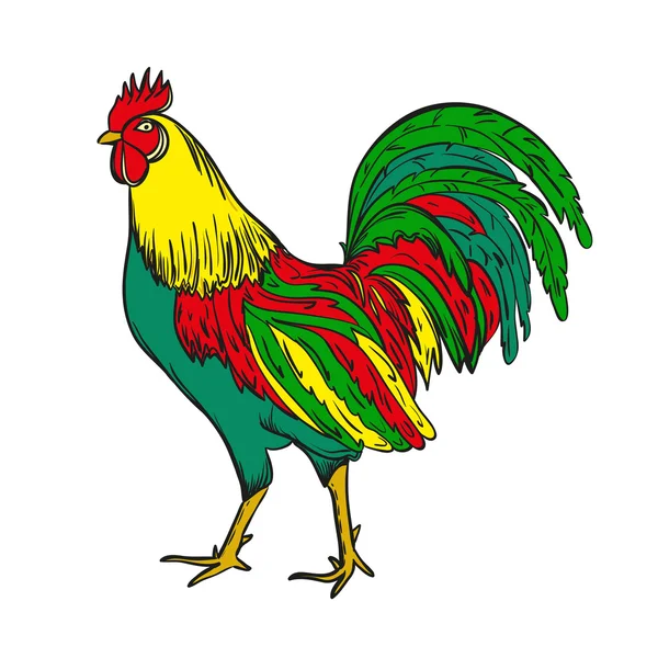 Gallo brillante vector de color ilustración Ilustración De Stock