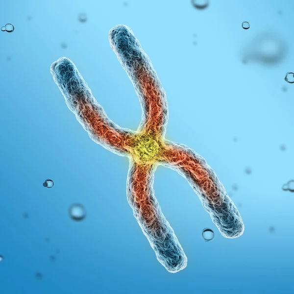 Kromosom 3d illustration — Stockfoto