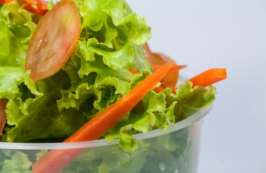 karışık sebze salatası