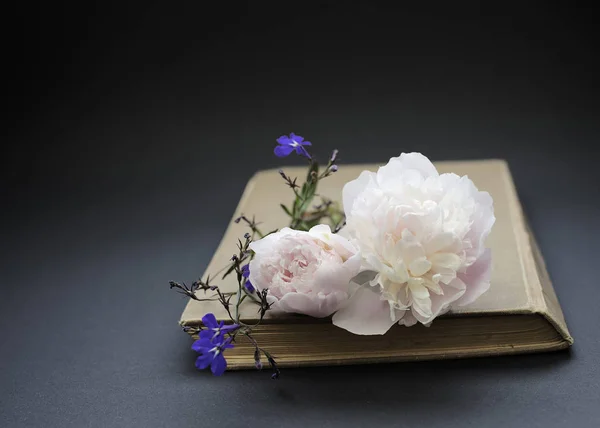 Poeny Blumen legen auf dem geschlossenen Buch — Stockfoto