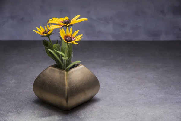 Gelber Echinocea in der Vase — Stockfoto