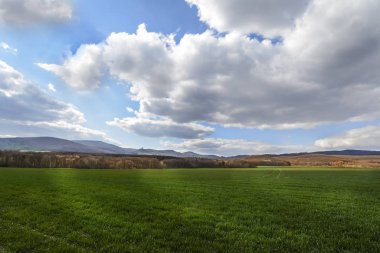Tarlanın ve ağaçların üzerinde kara bulutlar. Baharda gökyüzü ve tarla.
