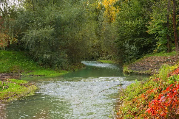 Grüne Naturlandschaft Herbst Mit Herbstlichen Baumfarben — Stockfoto