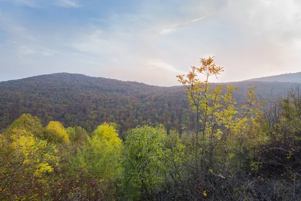 Góra Skałami Jesienią Kolorze Żółtym Czerwonym Scena Jesienna — Zdjęcie stockowe