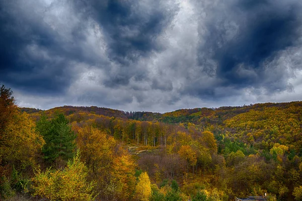 Floresta Outono Com Nuvens Tempestuosas Conceito Outono — Fotografia de Stock