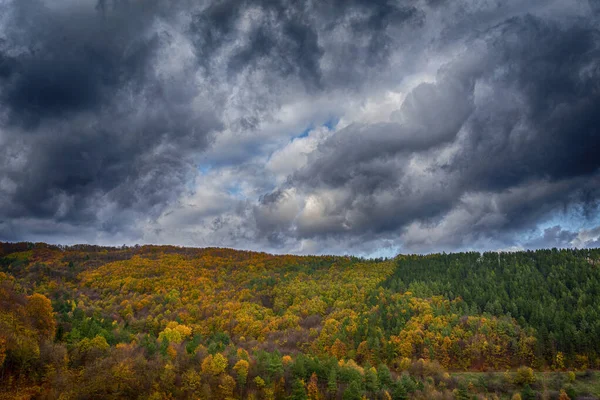 Las Jesienią Burzliwymi Chmurami Koncepcja Jesieni — Zdjęcie stockowe