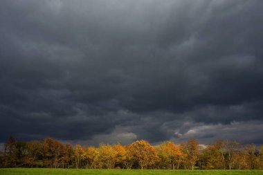 Ağaçların ve tarlaların üzerinde fırtınalı kara bulutlar. Sonbahar sahnesi