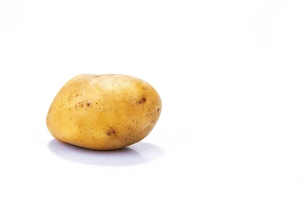 白い背景に大きな熟したジャガイモ — ストック写真